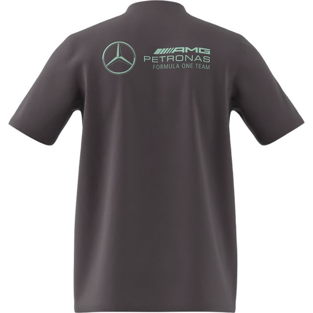 T-shirt męski, Mercedes-AMG F1 - szary, M