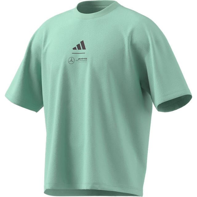 T-shirt męski, Mercedes-AMG F1 - zielony, XS